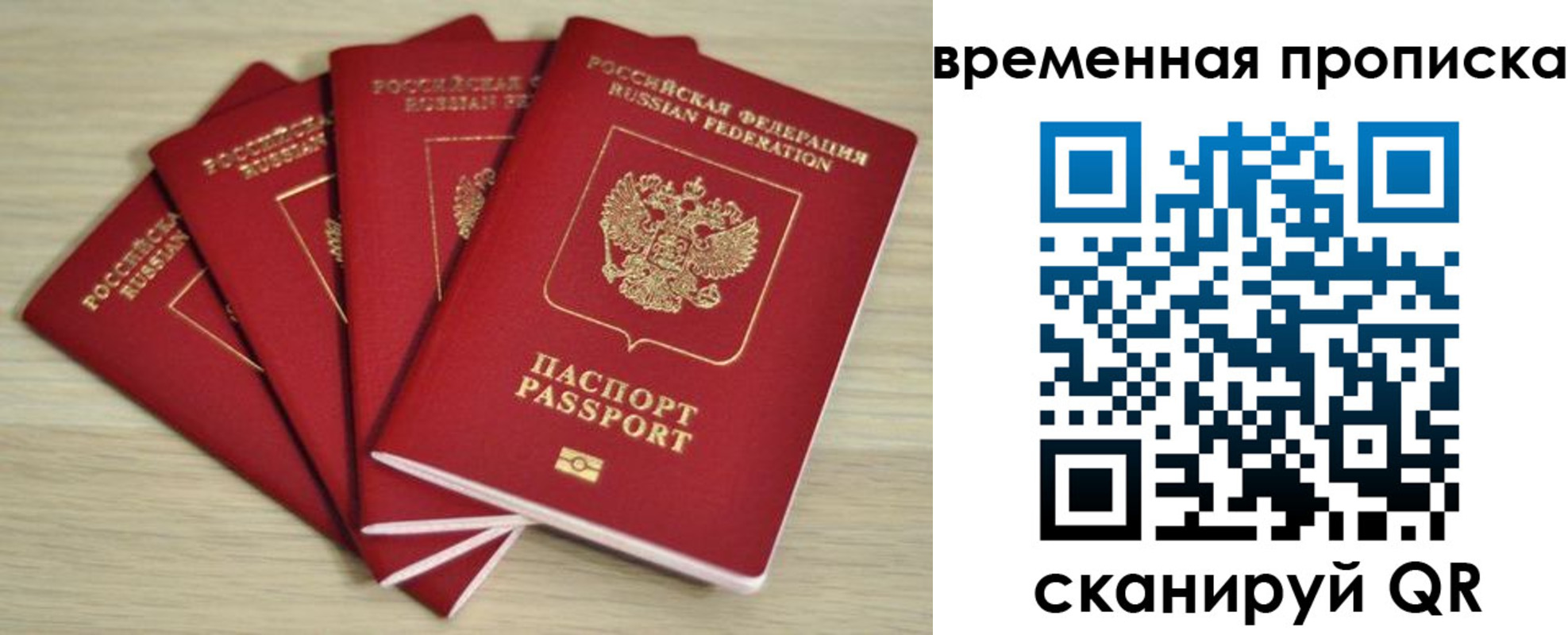 прописка для школы в Каменск-Шахтинском
